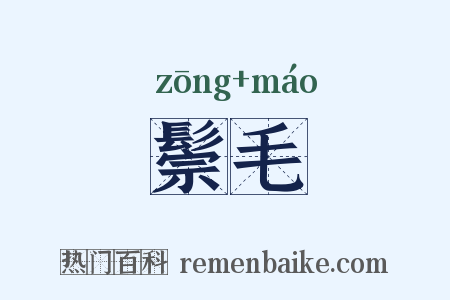 鬃毛是什么意思的图片